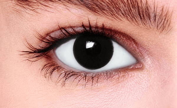 Black Out Colour Contact Lenses - Beauty Forever London